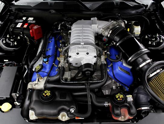 Florida Fine Cars - Used FORD MUSTANG SHELBY GT500 2011 WEST PALM Gt 500