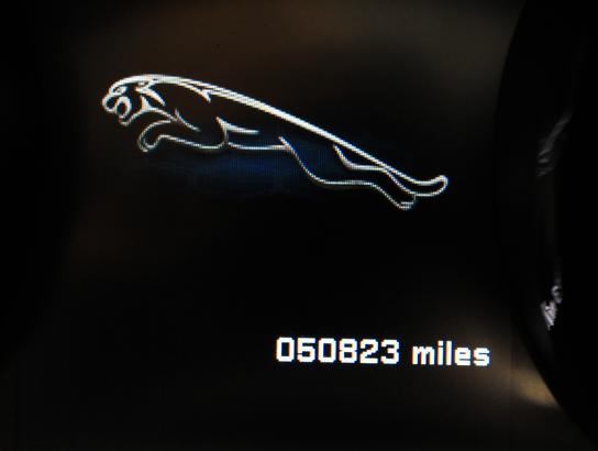 Florida Fine Cars - Used JAGUAR F TYPE 2014 WEST PALM V8 S