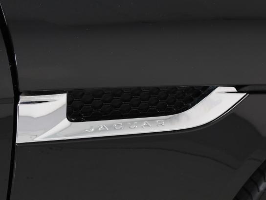 Florida Fine Cars - Used JAGUAR F TYPE 2014 WEST PALM V8 S