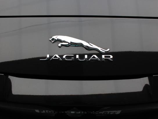 Florida Fine Cars - Used JAGUAR F TYPE 2014 WEST PALM V8 S