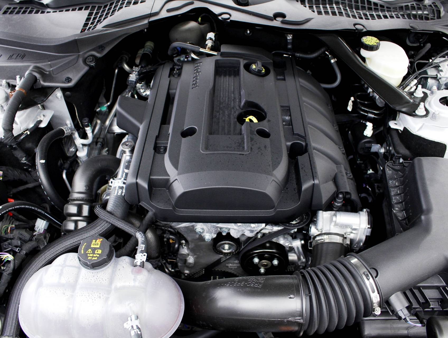 Florida Fine Cars - Used FORD MUSTANG 2017 MIAMI ECOBOOST PREMIUM