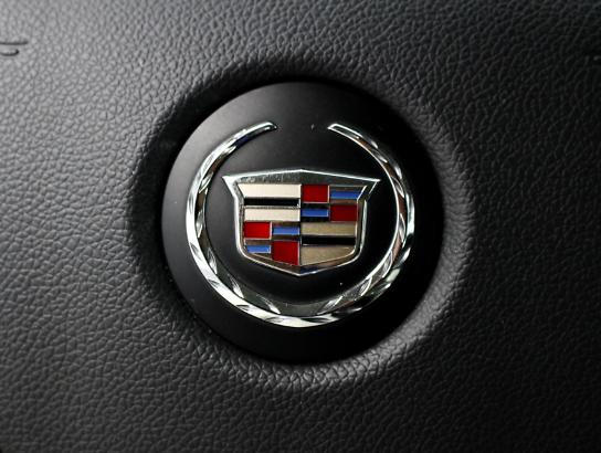 Florida Fine Cars - Used CADILLAC ESCALADE 2013 WEST PALM PLATINUM