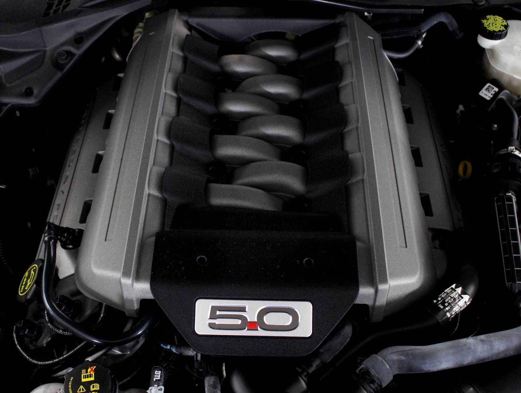 Florida Fine Cars - Used FORD MUSTANG 2016 WEST PALM Gt Premium