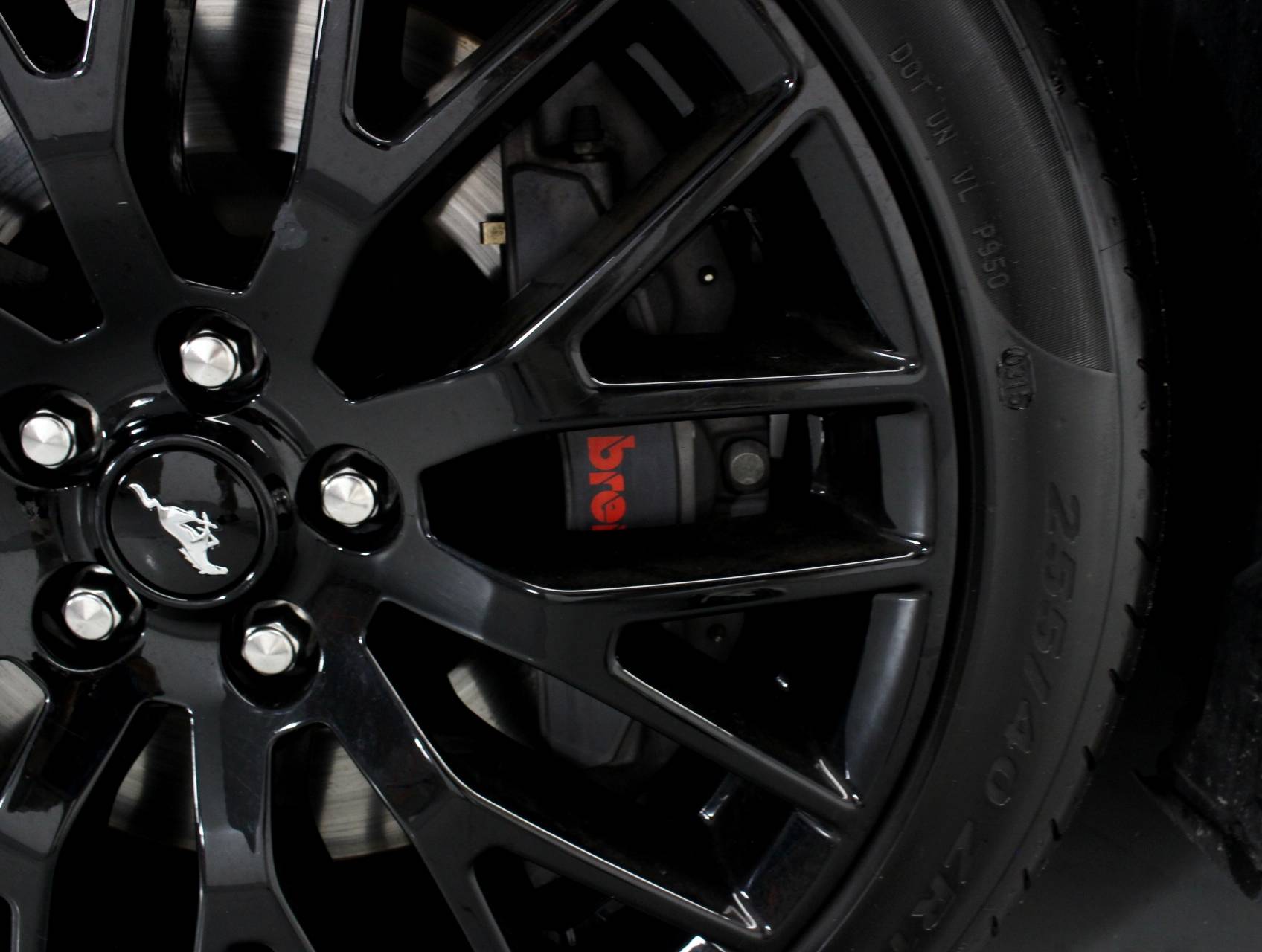 Florida Fine Cars - Used FORD MUSTANG 2015 WEST PALM GT PREMIUM