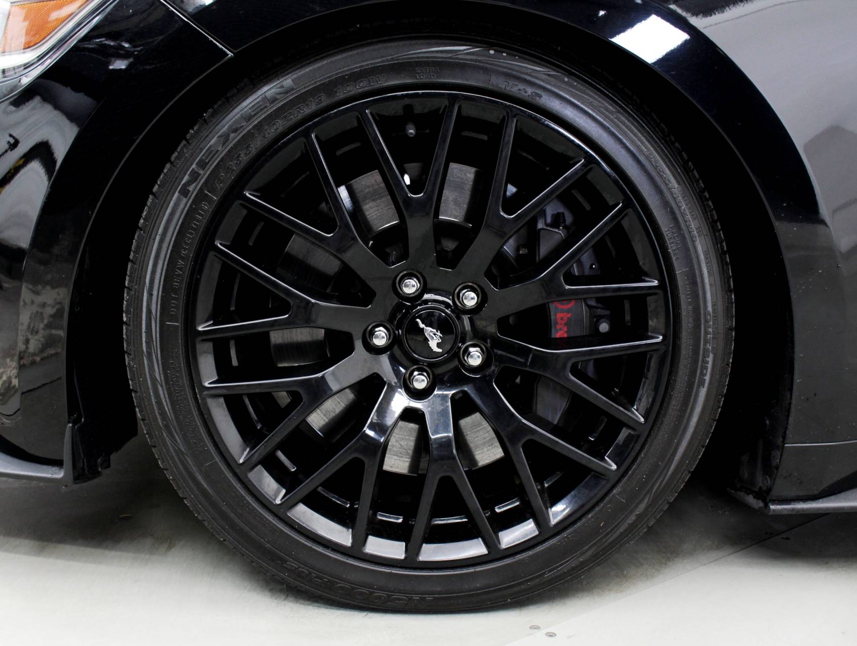 Florida Fine Cars - Used FORD MUSTANG 2015 MIAMI GT