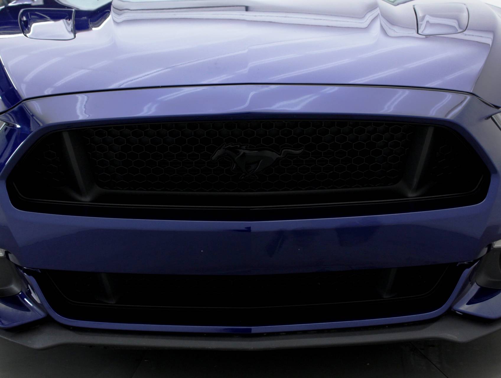 Florida Fine Cars - Used FORD MUSTANG 2016 MIAMI GT