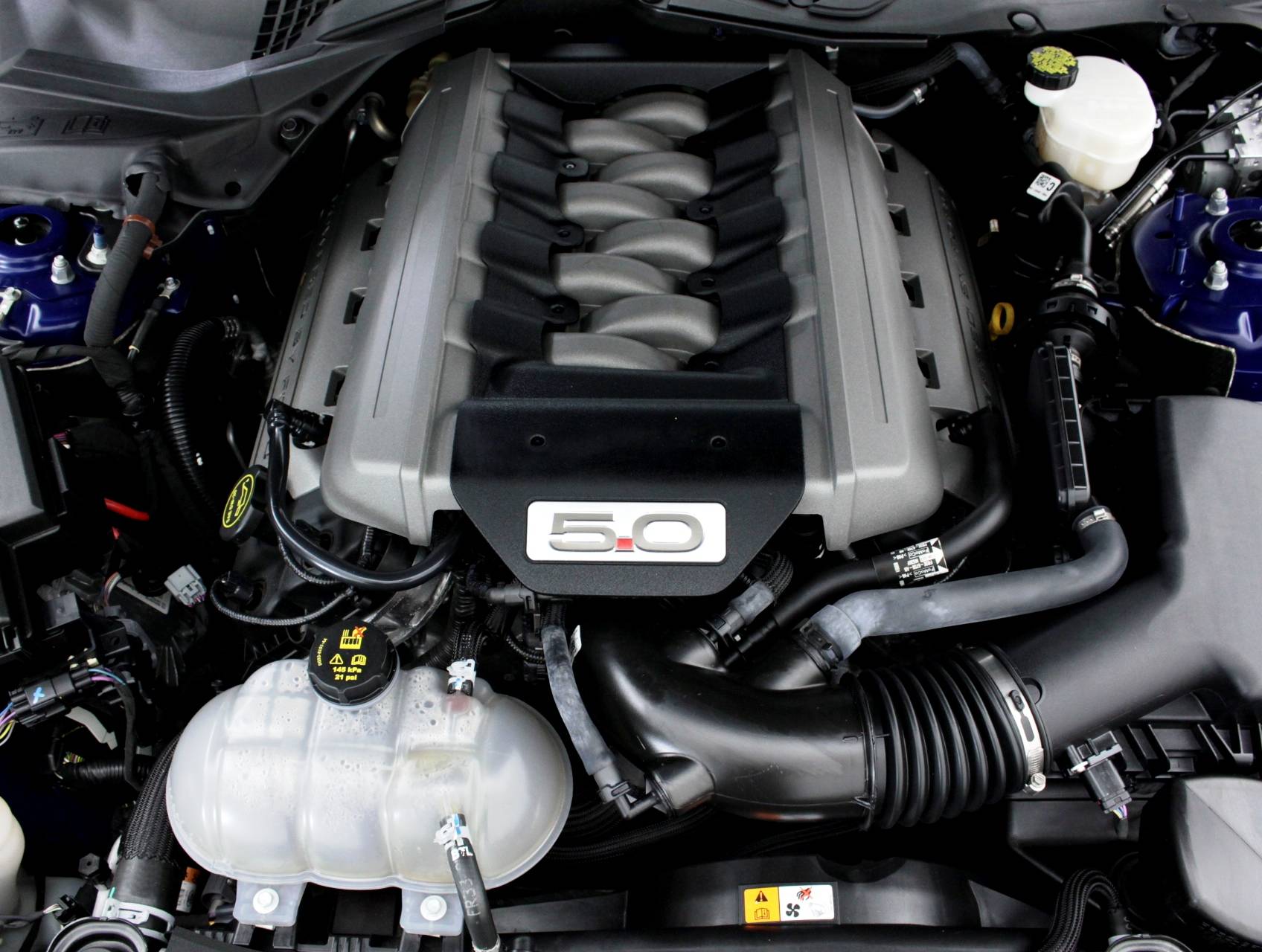 Florida Fine Cars - Used FORD MUSTANG 2016 MIAMI GT