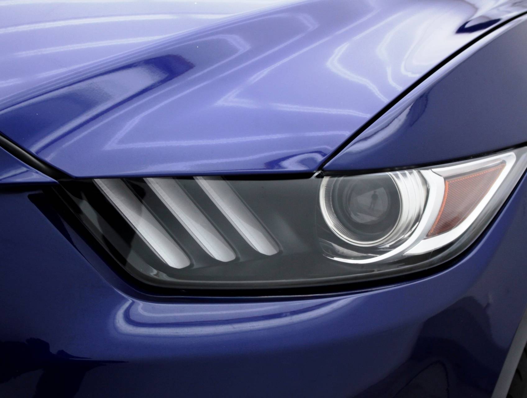 Florida Fine Cars - Used FORD MUSTANG 2016 MIAMI GT