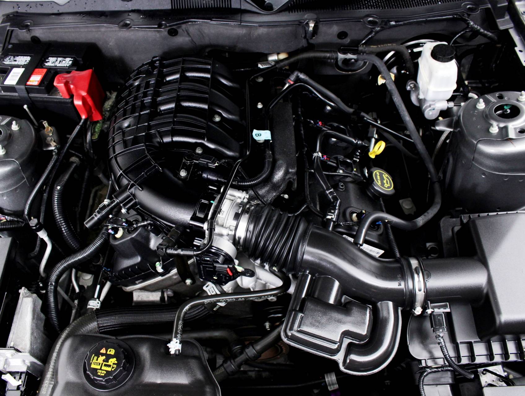 Florida Fine Cars - Used FORD MUSTANG 2014 MIAMI 