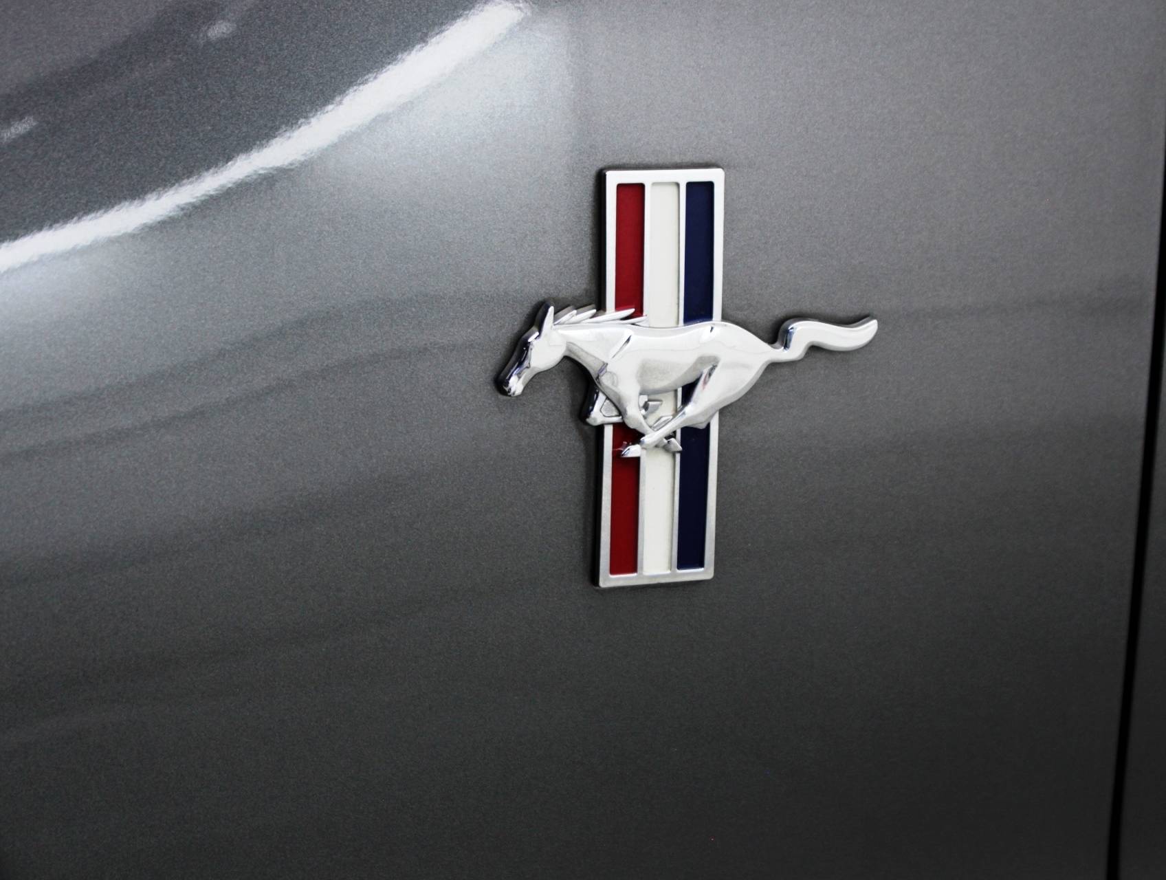 Florida Fine Cars - Used FORD MUSTANG 2014 MIAMI 