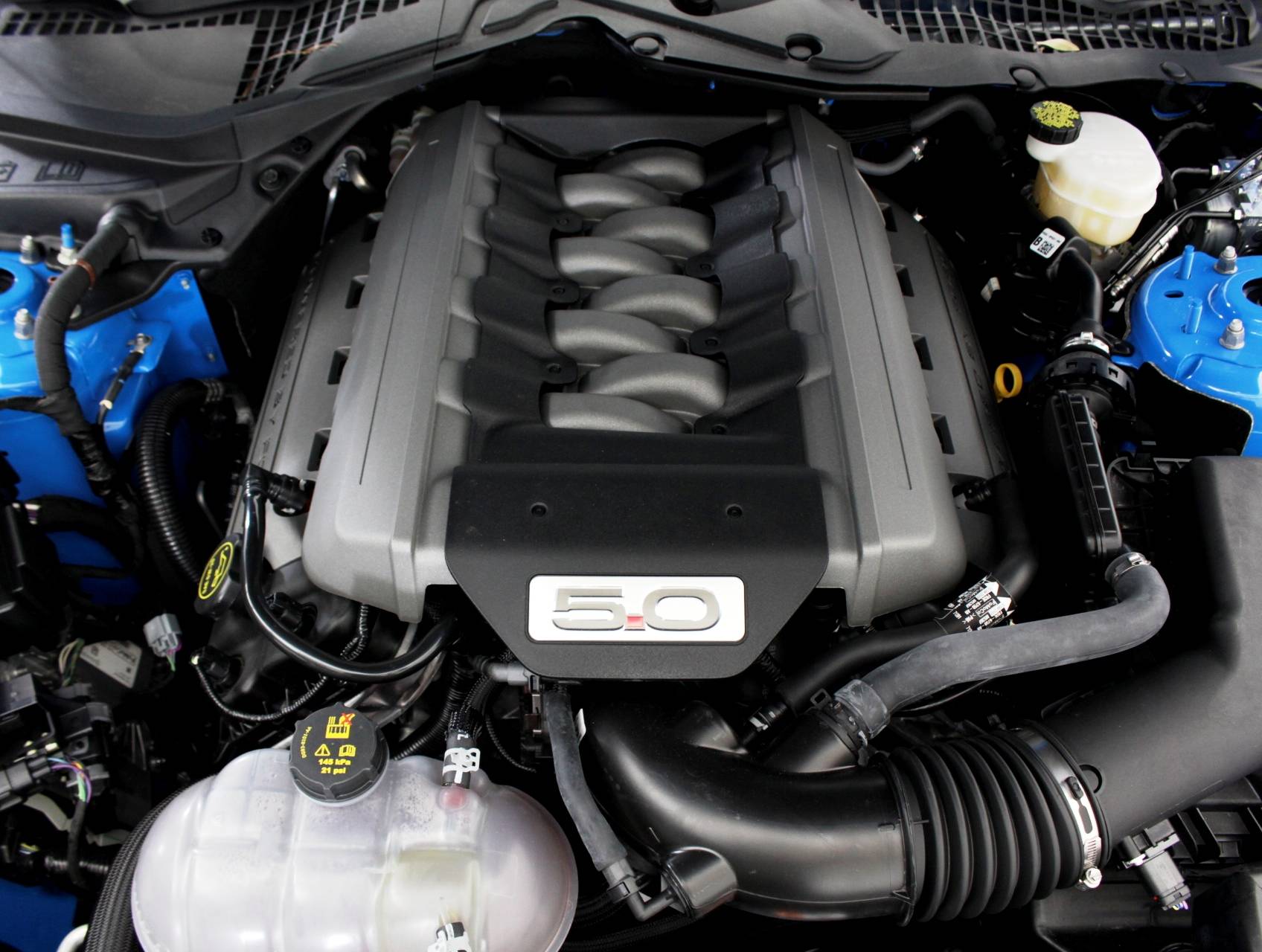 Florida Fine Cars - Used FORD MUSTANG 2017 MARGATE GT