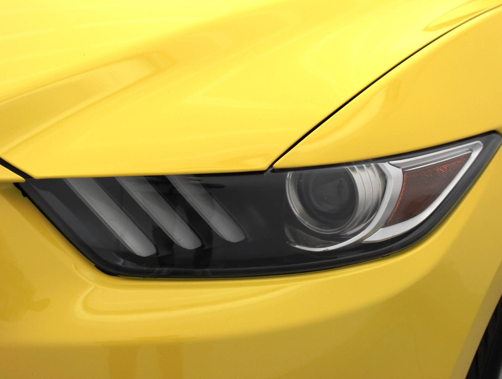 Florida Fine Cars - Used FORD MUSTANG 2017 MIAMI Gt Premium