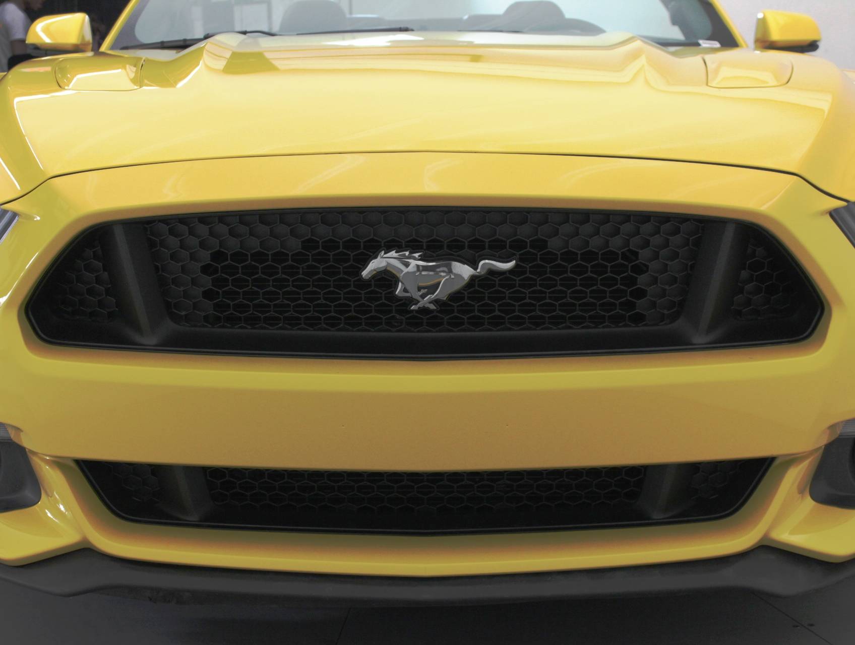 Florida Fine Cars - Used FORD MUSTANG 2017 MIAMI Gt Premium