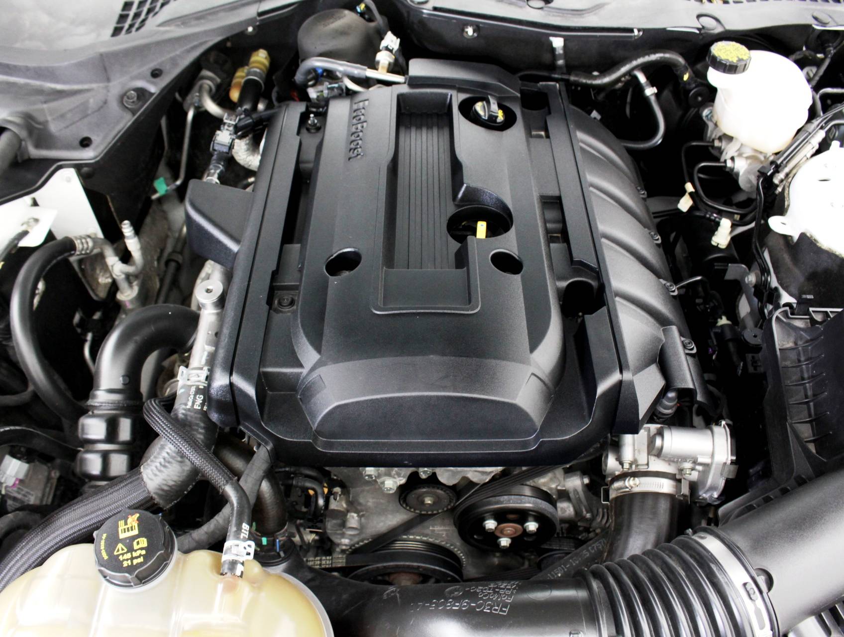 Florida Fine Cars - Used FORD MUSTANG 2017 HOLLYWOOD Ecoboost Premium