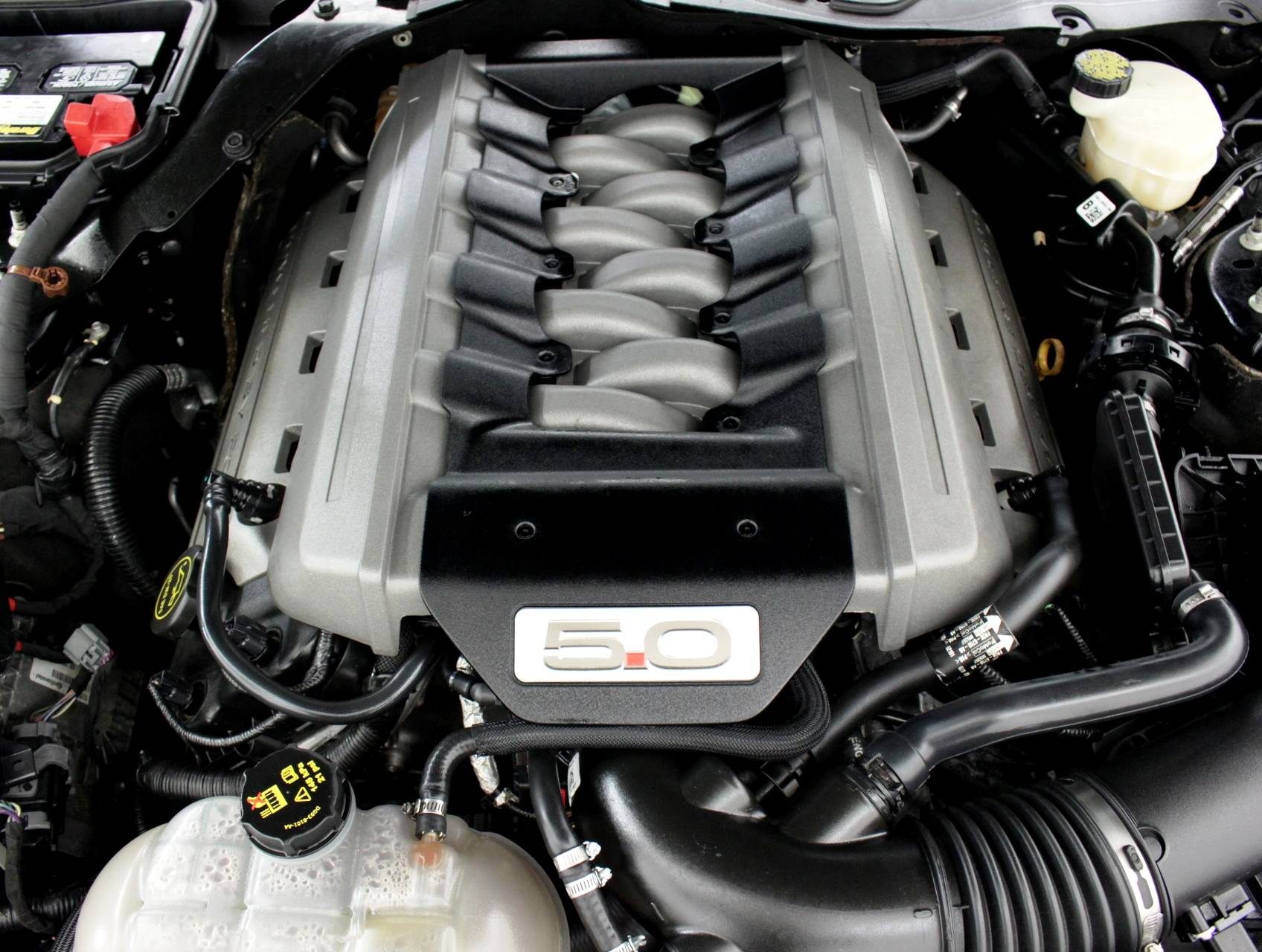 Florida Fine Cars - Used FORD MUSTANG 2016 MARGATE Gt Premium