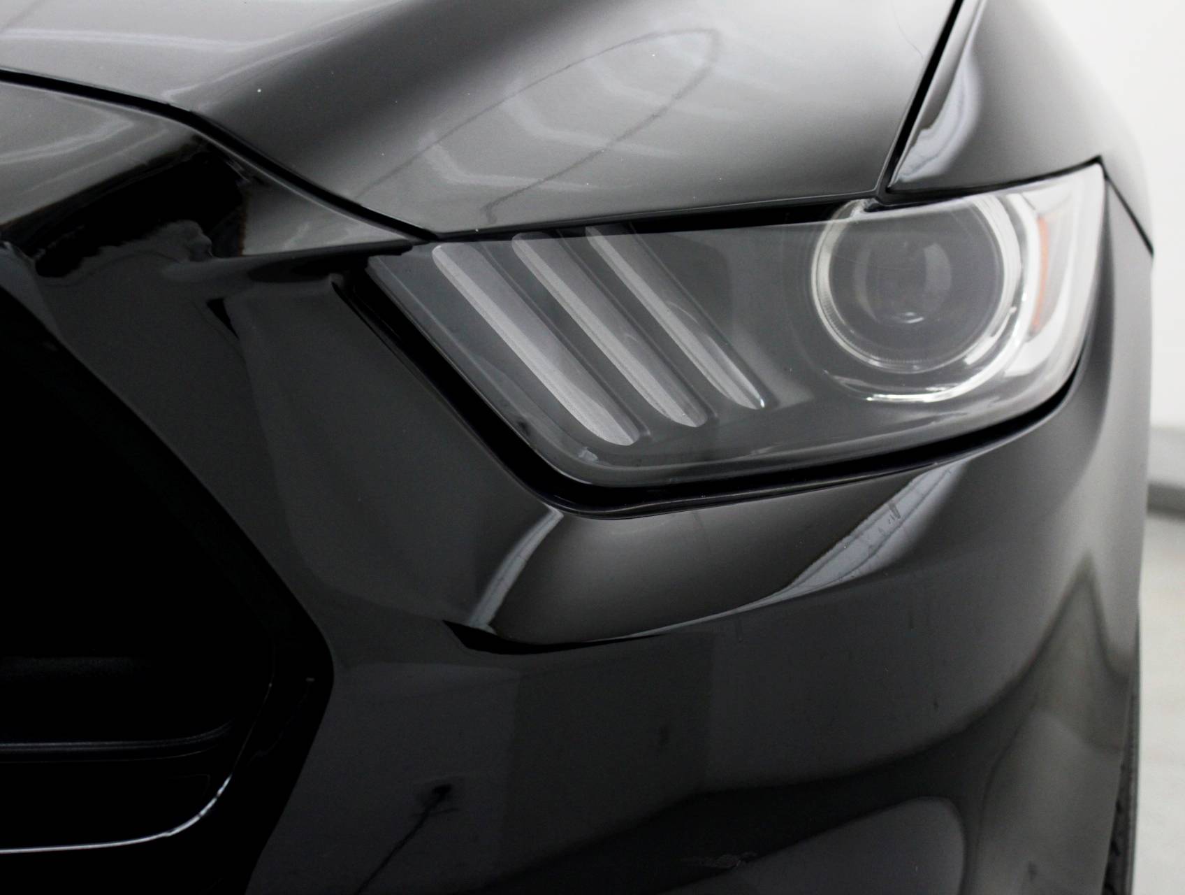 Florida Fine Cars - Used FORD MUSTANG 2016 MARGATE Gt Premium