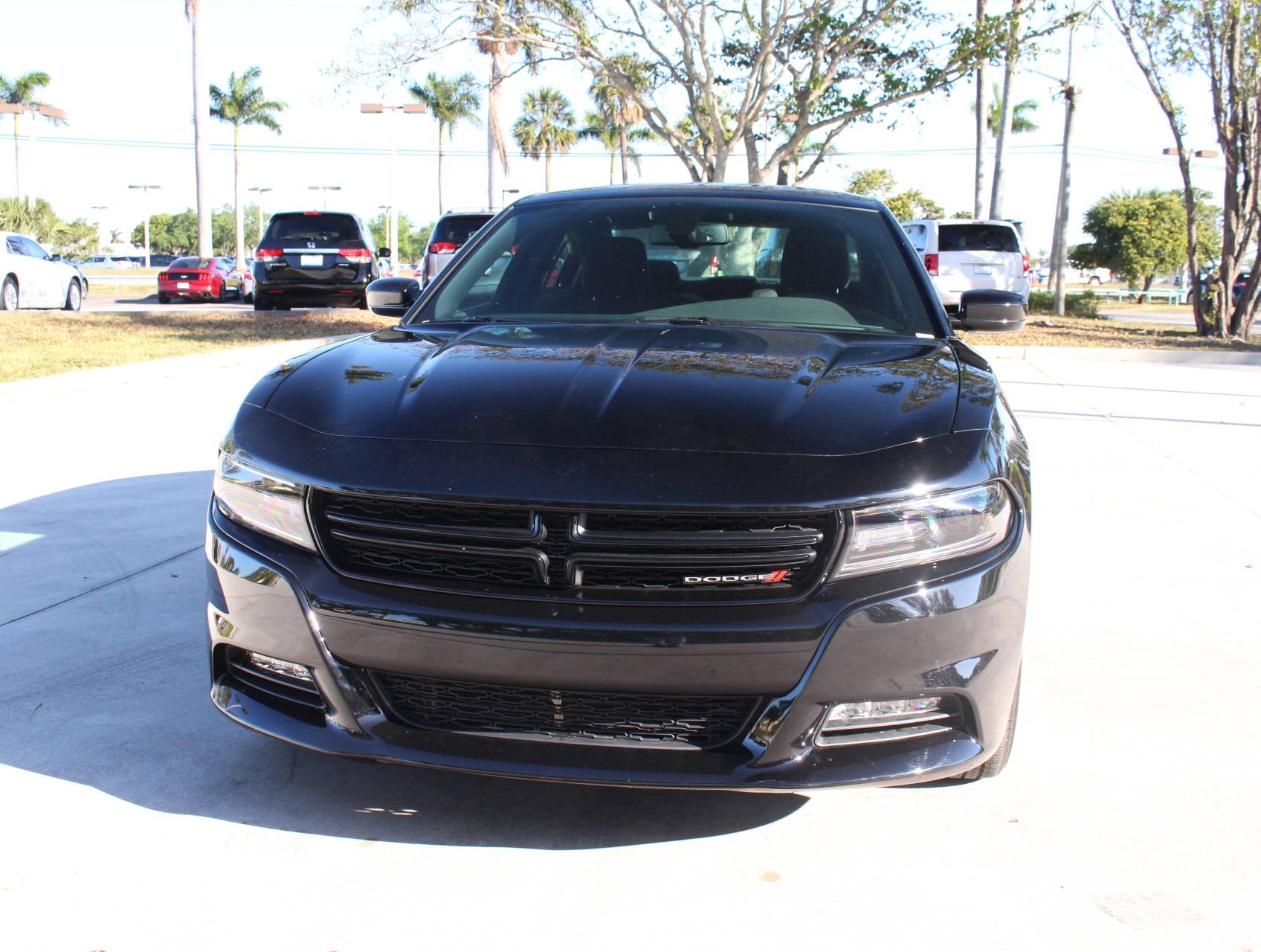 Florida Fine Cars - Used DODGE CHARGER 2018 WEST PALM Sxt Plus