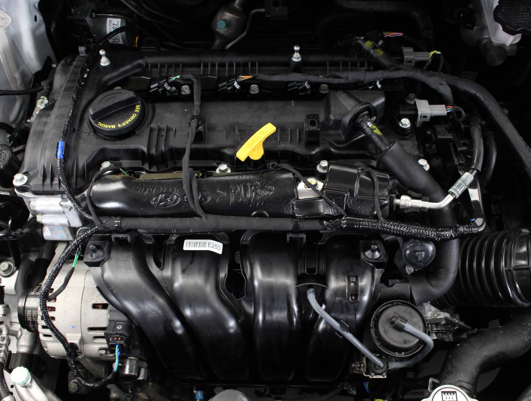 Florida Fine Cars - Used HYUNDAI ELANTRA 2013 WEST PALM Gls