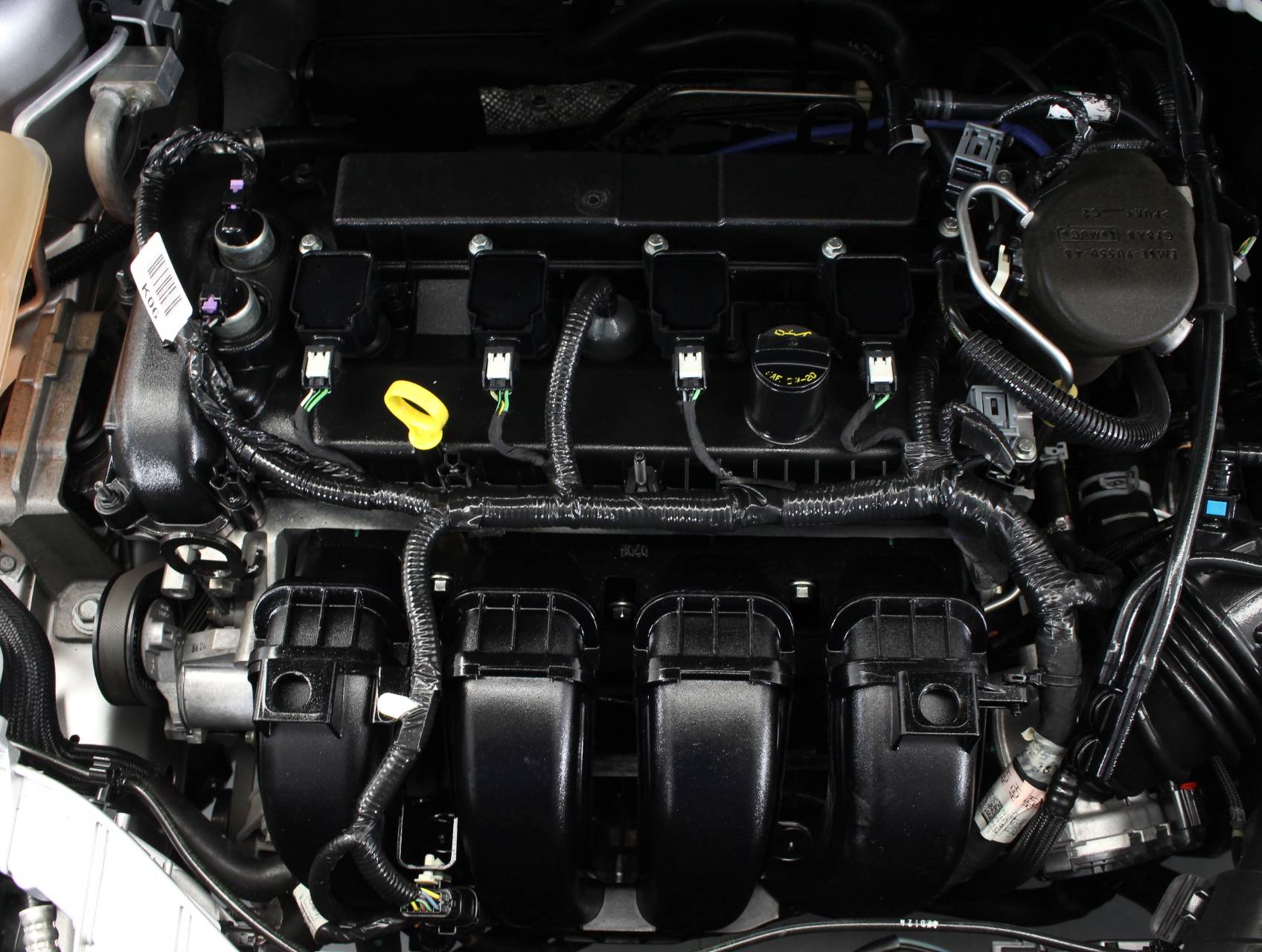 Florida Fine Cars - Used FORD FOCUS 2016 WEST PALM SE