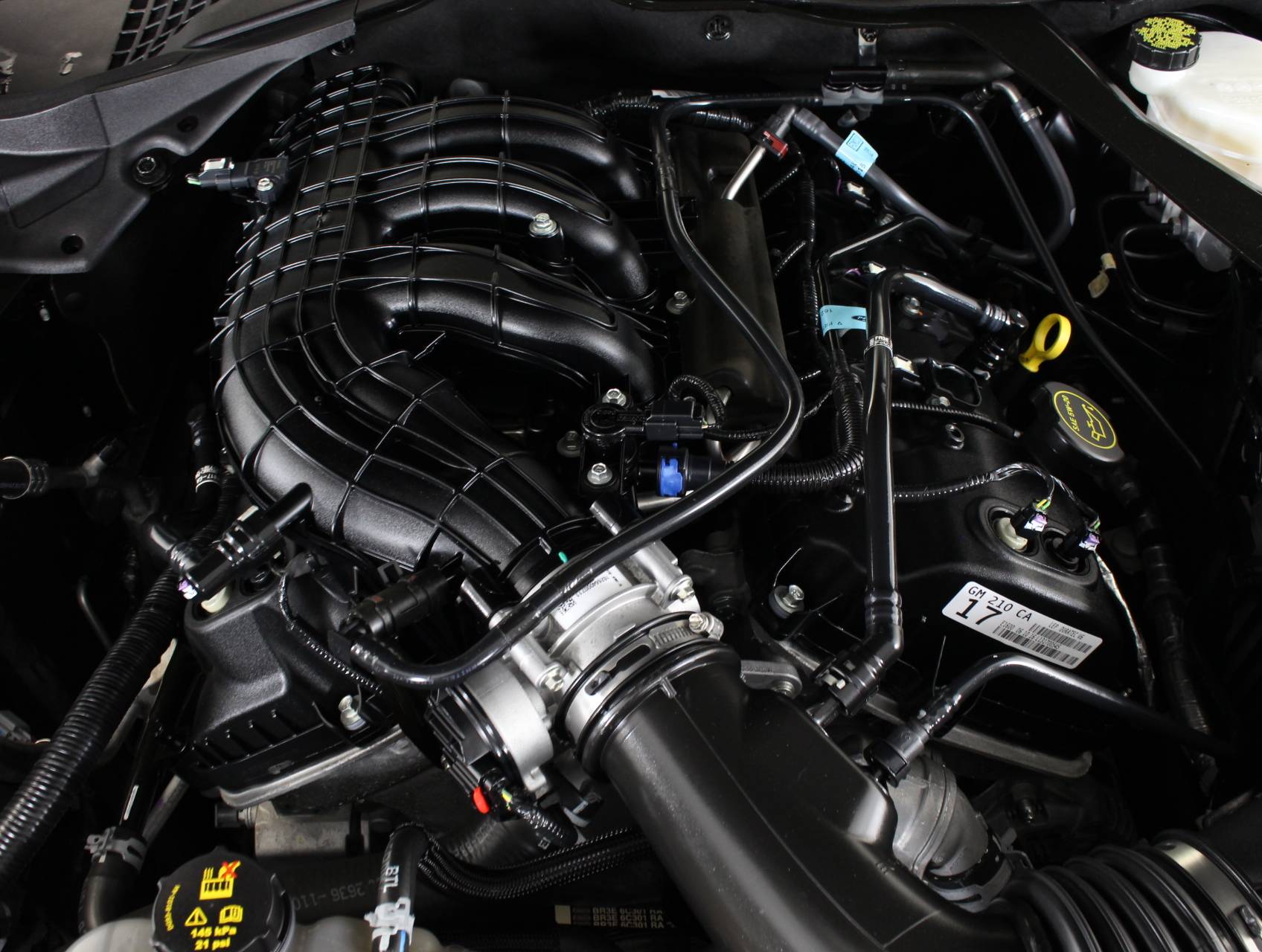 Florida Fine Cars - Used FORD MUSTANG 2017 WEST PALM V6