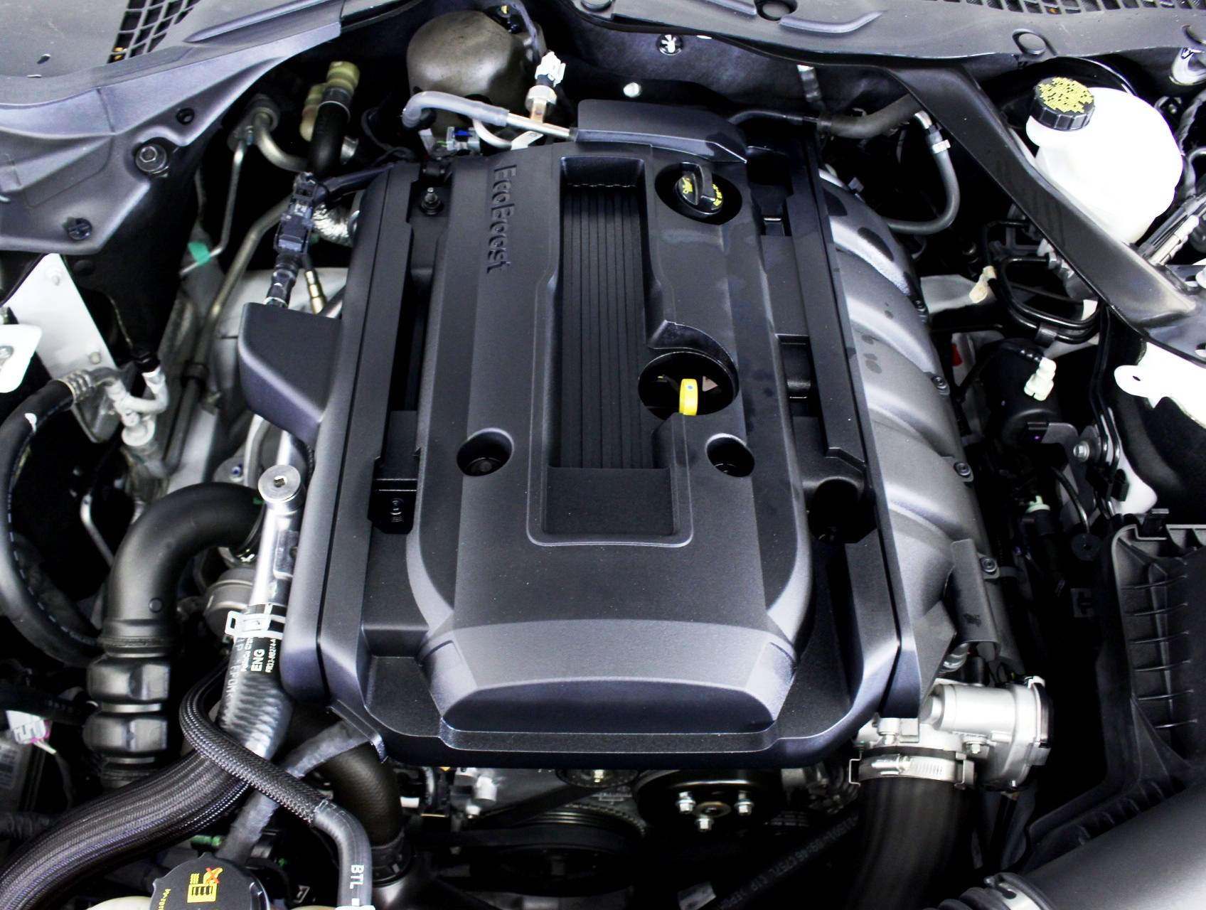 Florida Fine Cars - Used FORD MUSTANG 2016 HOLLYWOOD Ecoboost Performace