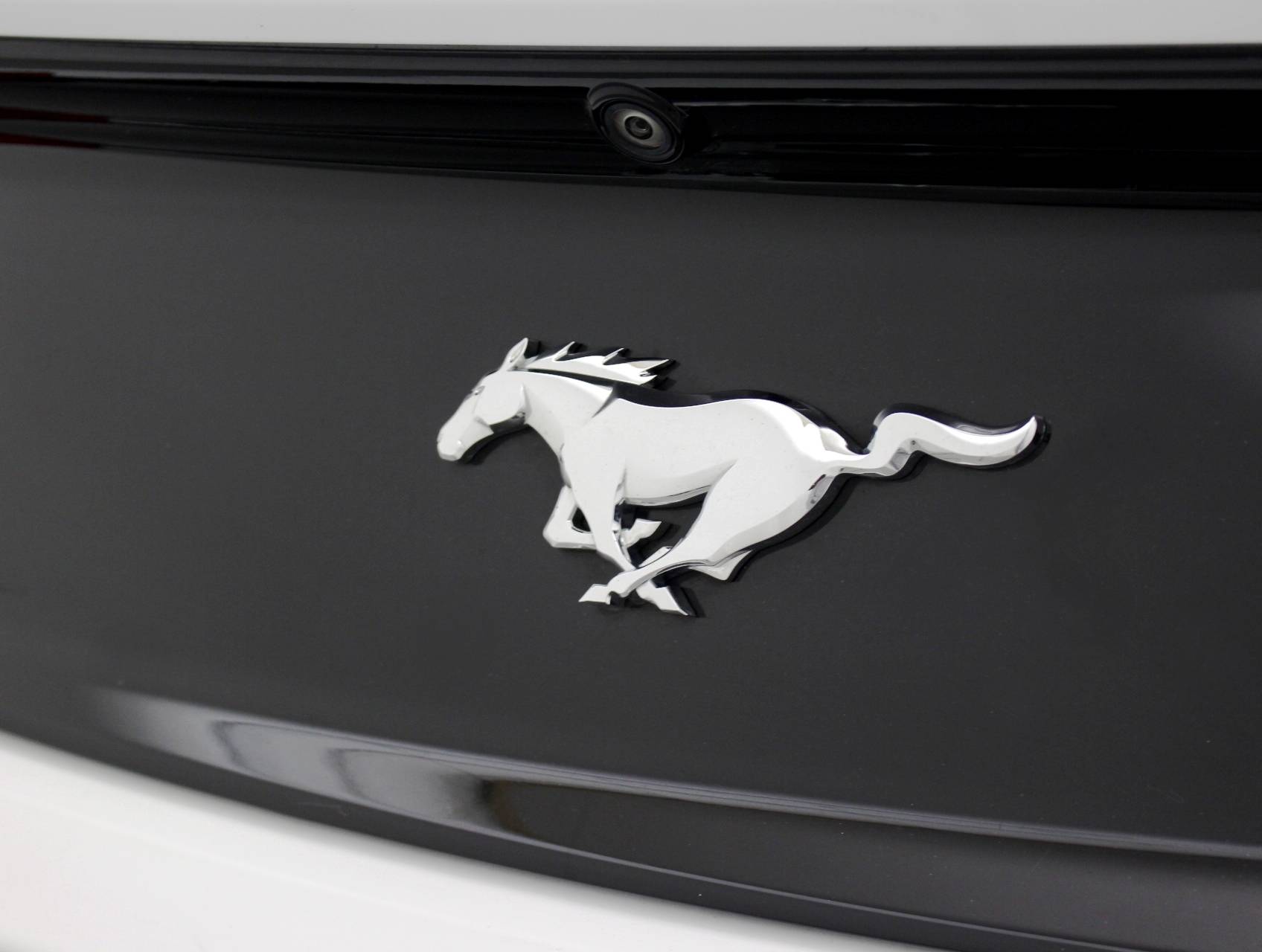 Florida Fine Cars - Used FORD MUSTANG 2016 HOLLYWOOD Ecoboost Performace