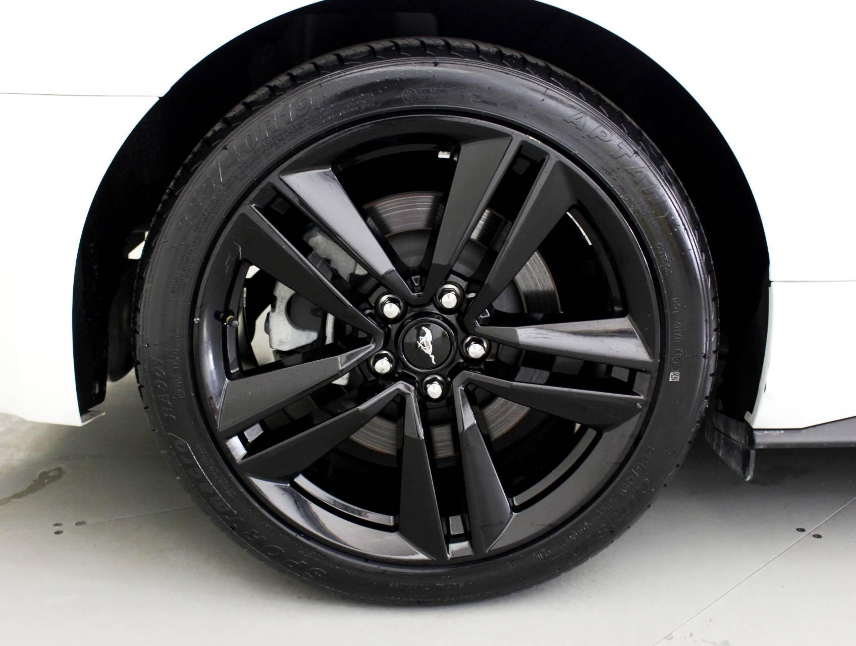 Florida Fine Cars - Used FORD MUSTANG 2016 HOLLYWOOD Ecoboost Performace