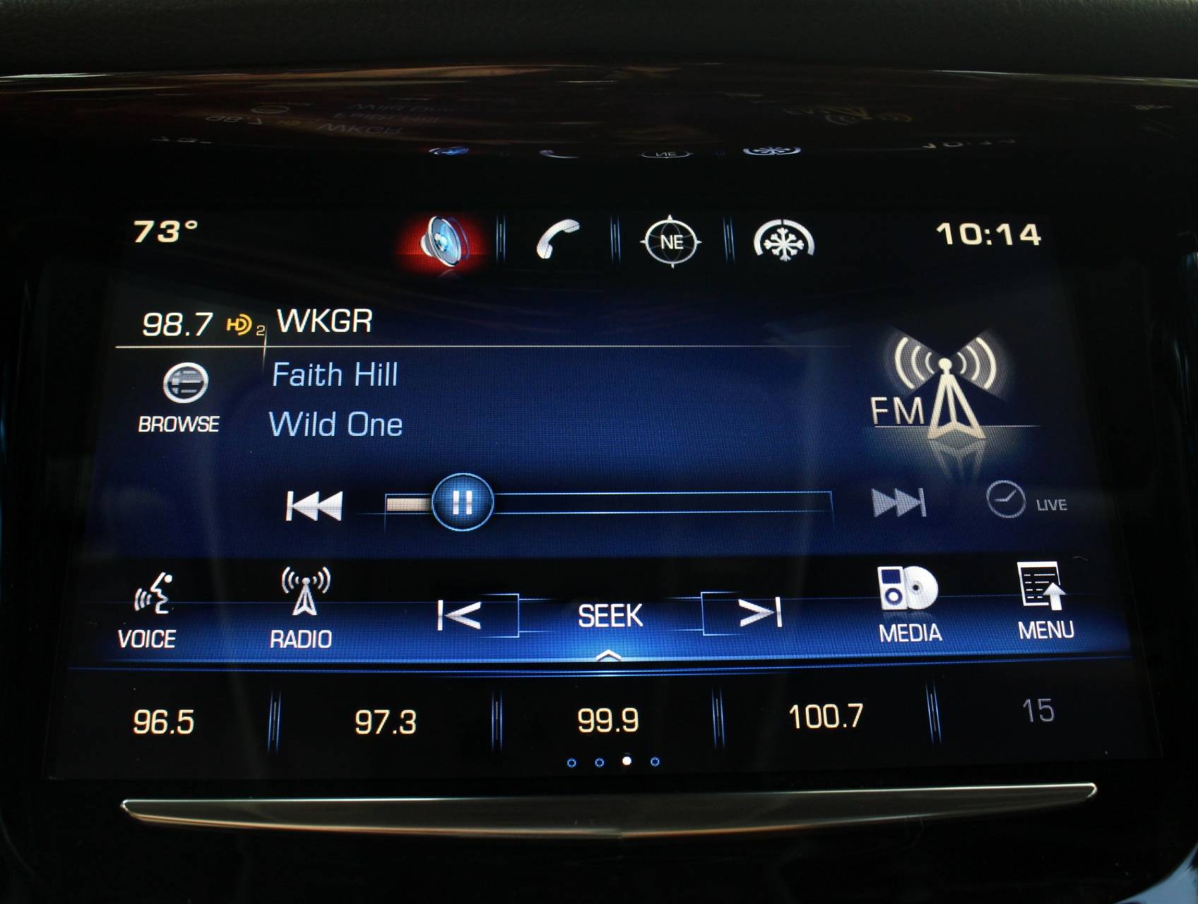 Florida Fine Cars - Used CADILLAC ESCALADE 2015 WEST PALM LUXURY