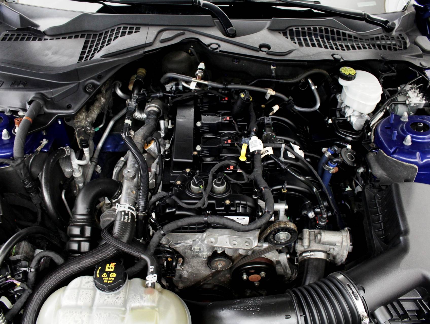 Florida Fine Cars - Used FORD MUSTANG 2015 MIAMI ECOBOOST