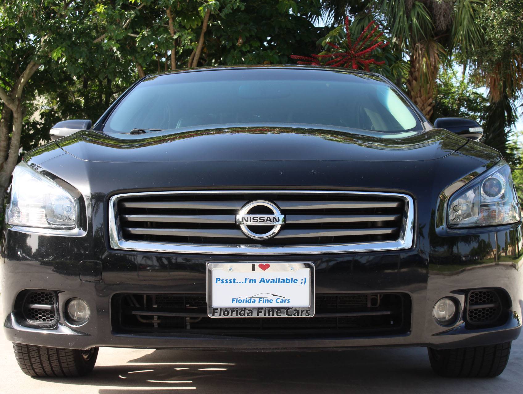 Florida Fine Cars - Used NISSAN MAXIMA 2014 MIAMI Sv Sport