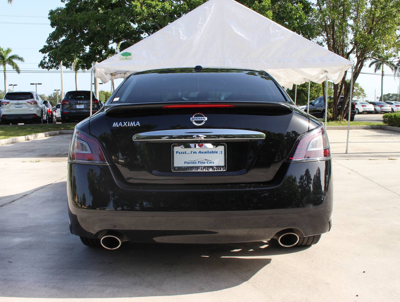 Florida Fine Cars - Used NISSAN MAXIMA 2014 MIAMI Sv Sport