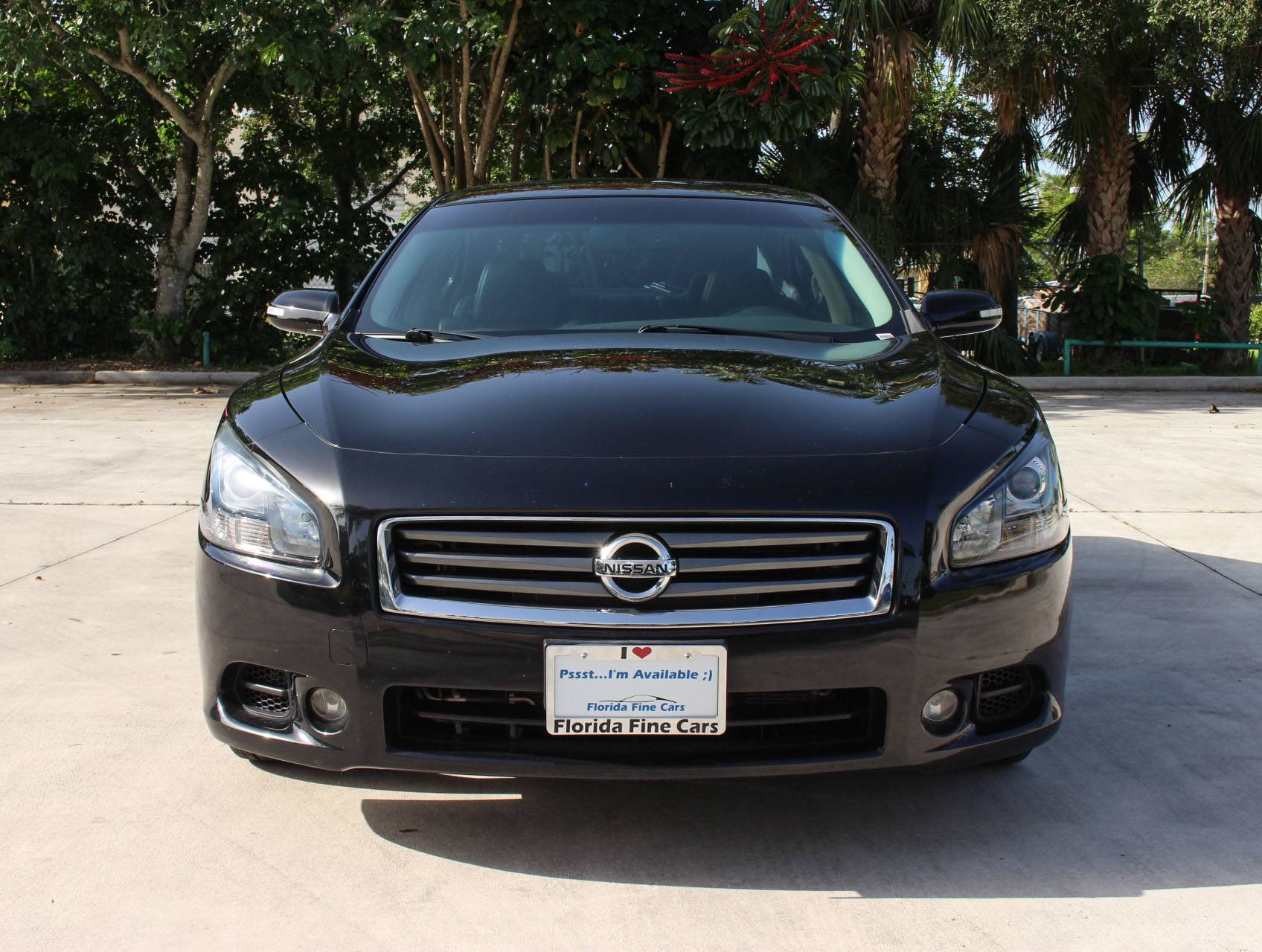 Florida Fine Cars - Used NISSAN MAXIMA 2014 MIAMI Sv Sport