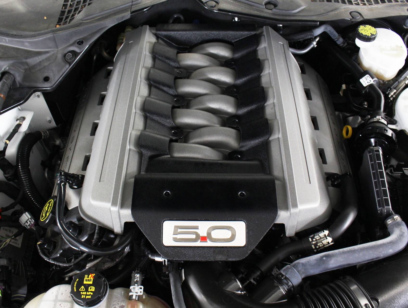 Florida Fine Cars - Used FORD MUSTANG 2017 WEST PALM Gt Premium