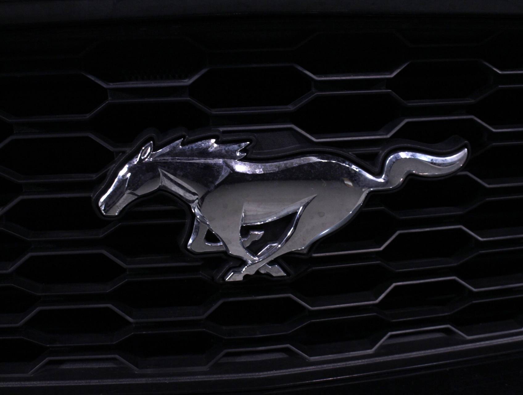 Florida Fine Cars - Used FORD MUSTANG 2015 HOLLYWOOD Ecoboost Premium