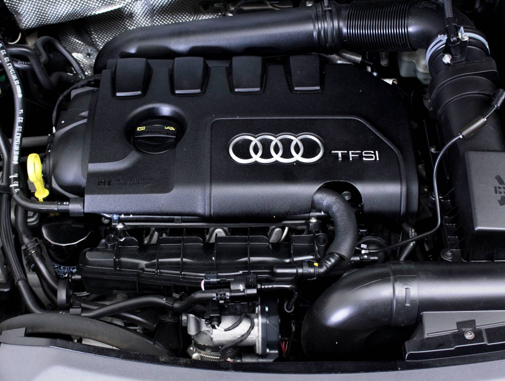 Florida Fine Cars - Used AUDI Q3 2015 WEST PALM Premium Plus Quattro