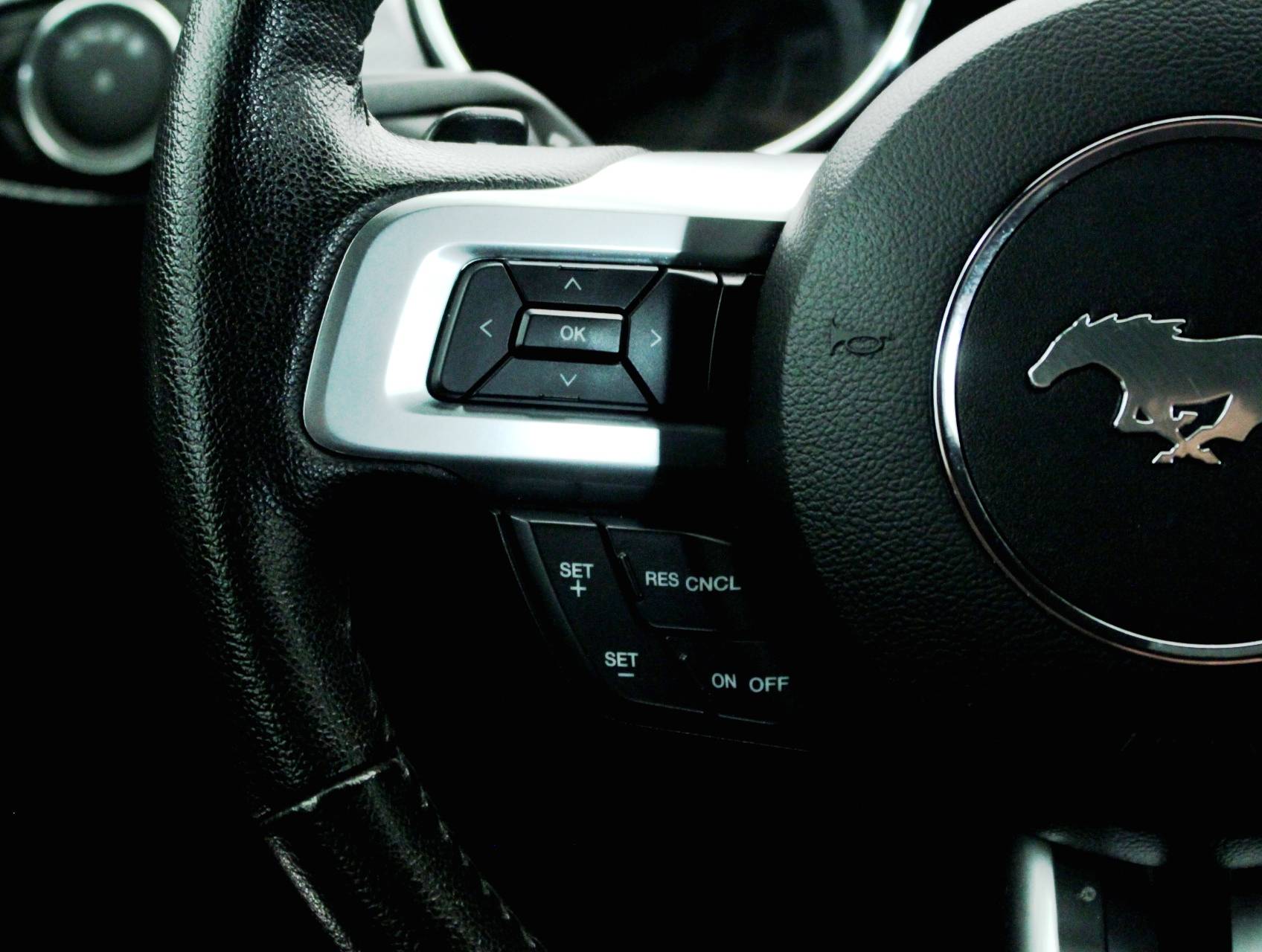 Florida Fine Cars - Used FORD MUSTANG 2016 MIAMI GT