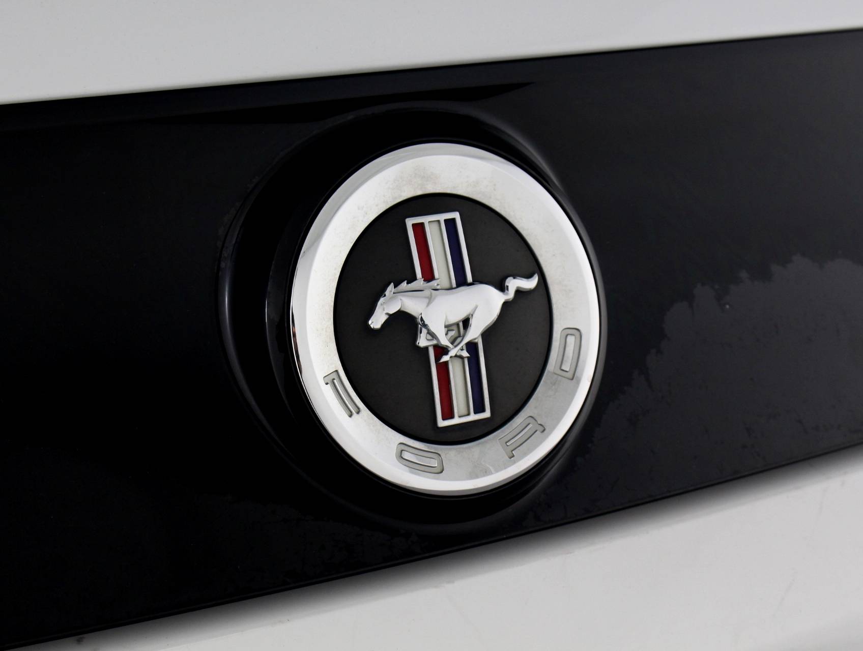 Florida Fine Cars - Used FORD MUSTANG 2014 WEST PALM V6