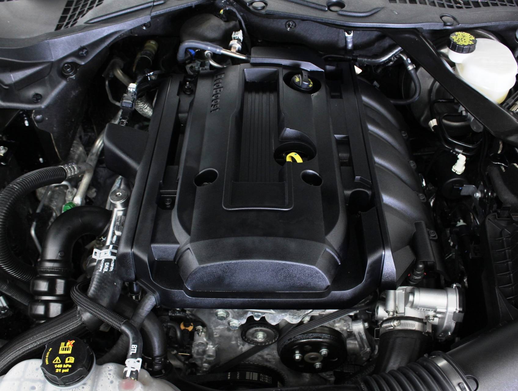 Florida Fine Cars - Used FORD MUSTANG 2018 HOLLYWOOD Ecoboost Premium