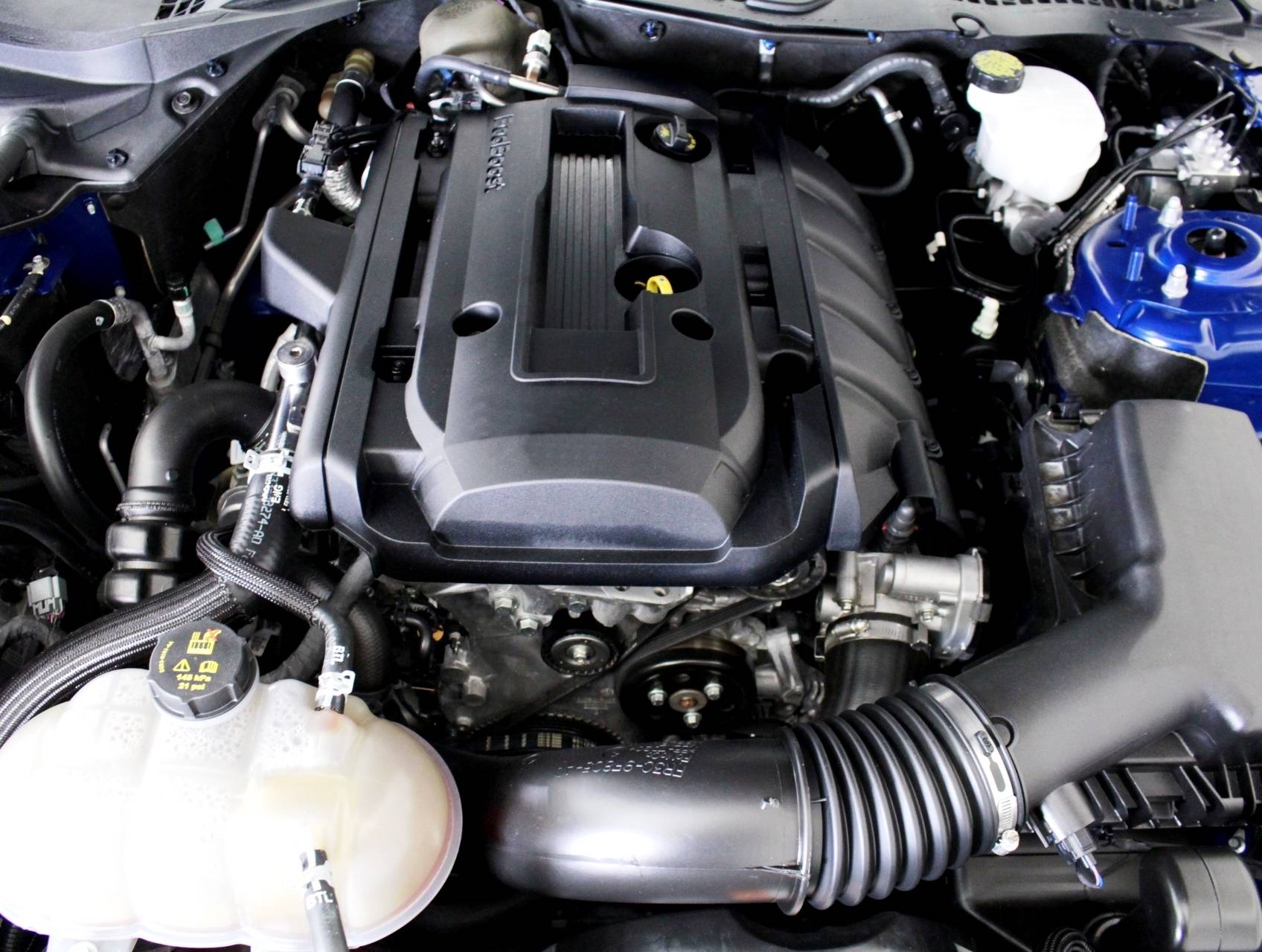 Florida Fine Cars - Used FORD MUSTANG 2017 MIAMI ECOBOOST