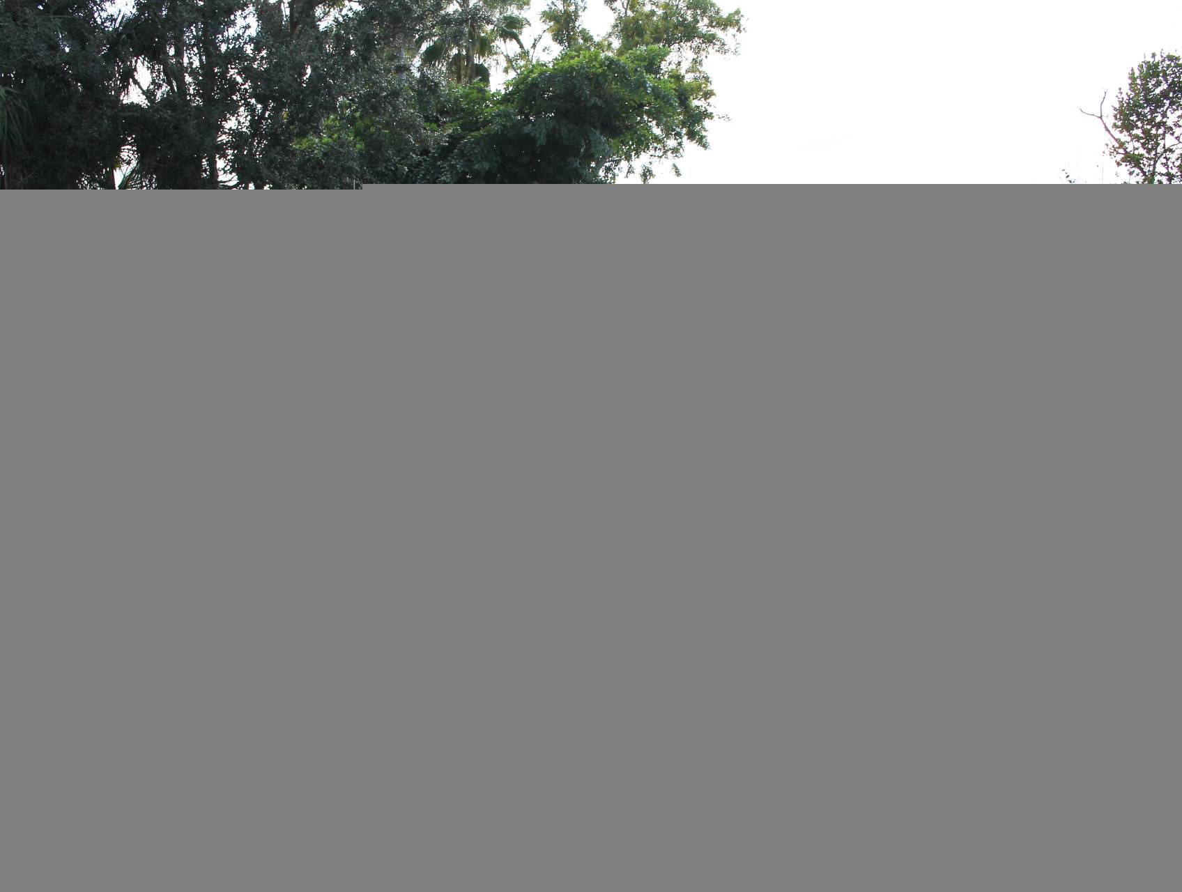 Florida Fine Cars - Used RAM 1500 2016 MARGATE Big Horn 4x4