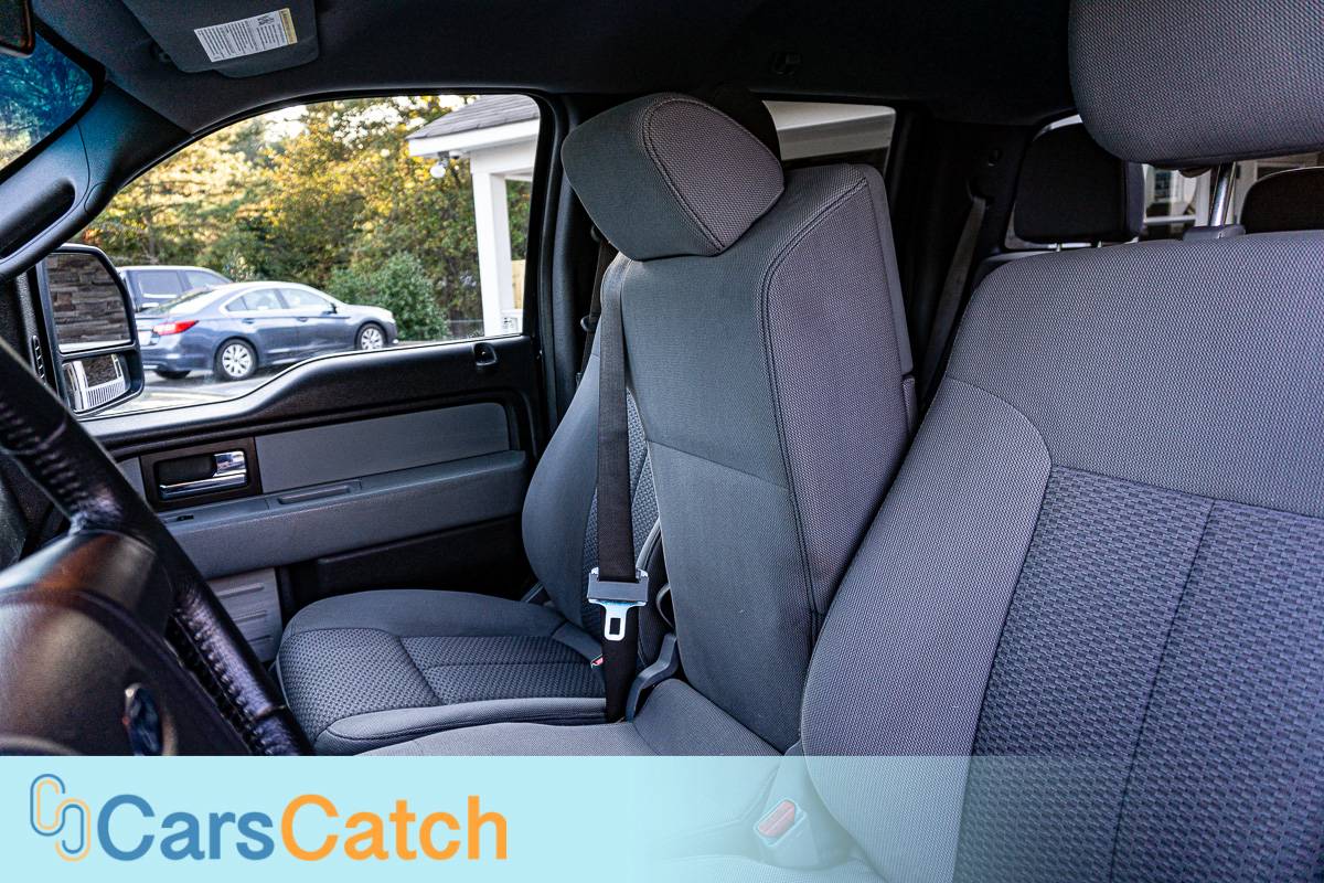 CARSCATCH - Used vehicle - Truck FORD F-150 2014