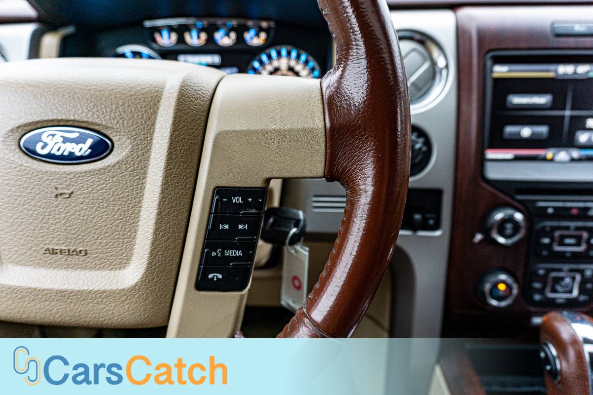 CARSCATCH - Used vehicle - Truck FORD F-150 2014