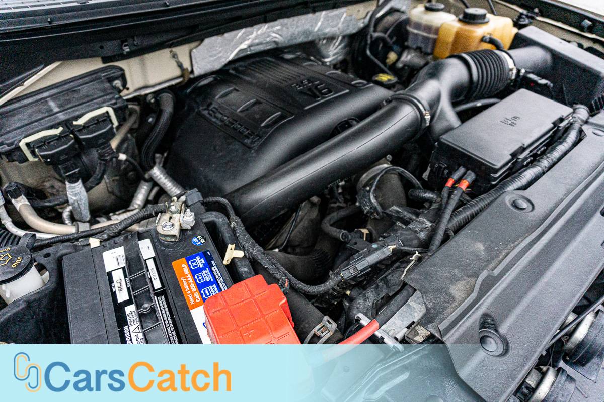 CARSCATCH - Used vehicle - Truck FORD F-150 2011