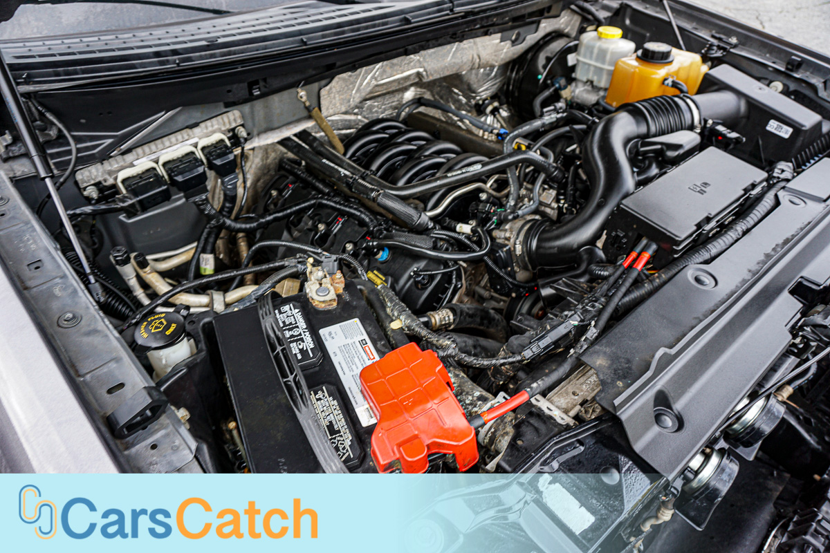 CARSCATCH - Used vehicle - Truck FORD F-150 2014