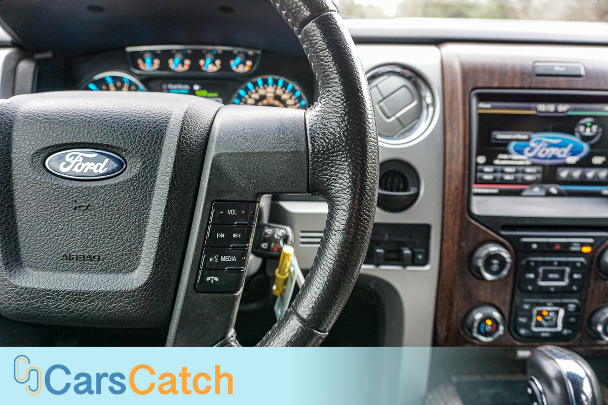 CARSCATCH - Used vehicle - Truck FORD F-150 2014