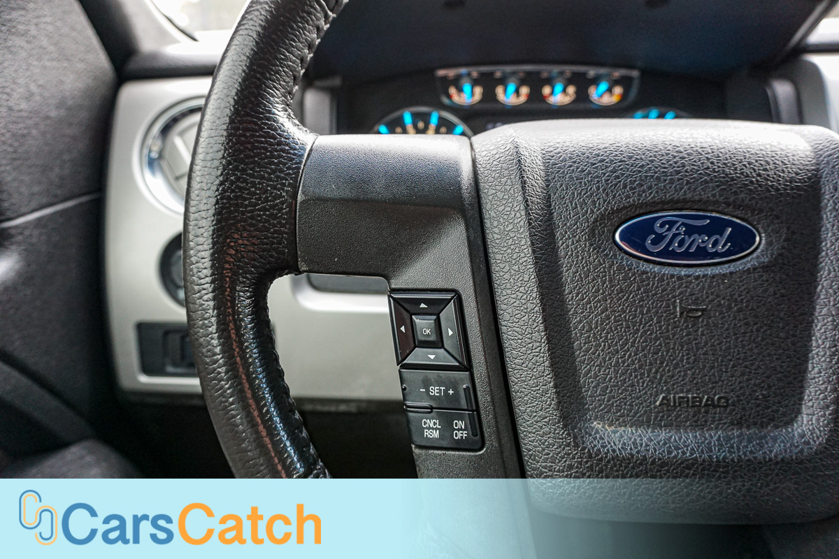 CARSCATCH - Used vehicle - Truck FORD F-150 2014