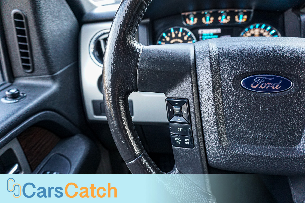 CARSCATCH - Used vehicle - Truck FORD F-150 2014