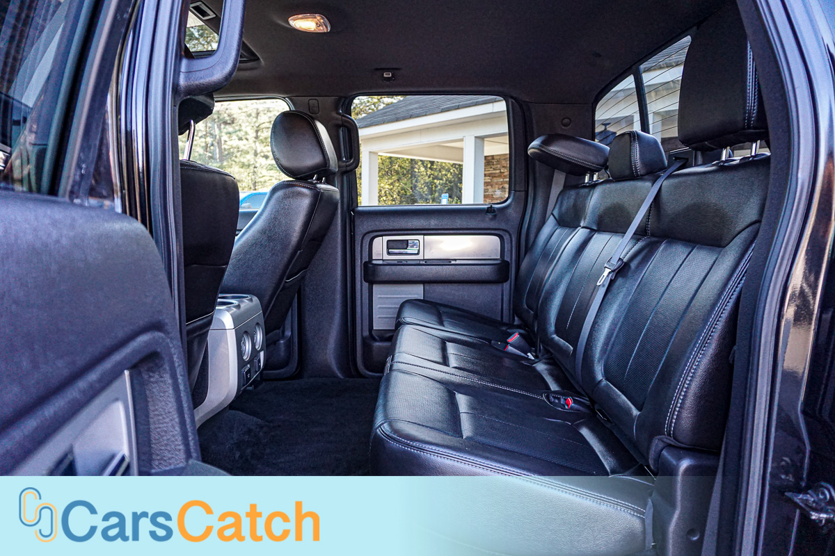 CARSCATCH - Used vehicle - Truck FORD F-150 2013