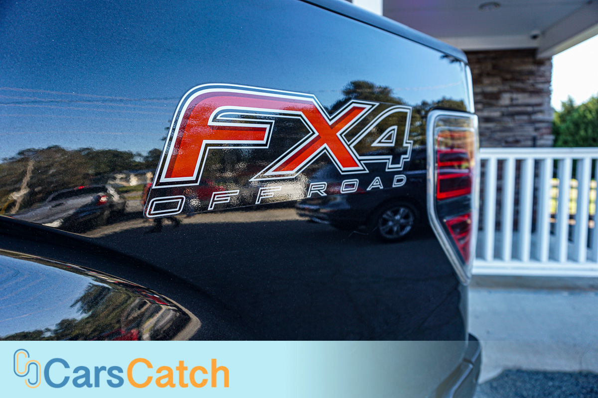 CARSCATCH - Used vehicle - Truck FORD F-150 2013