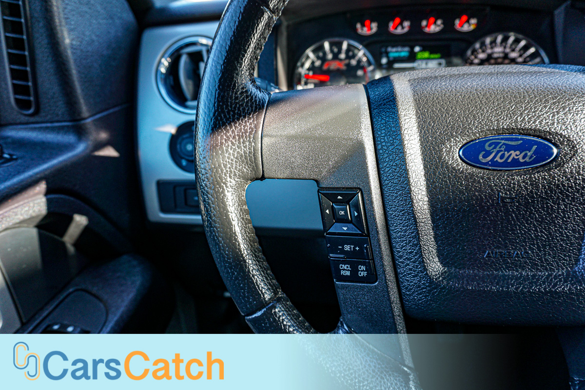 CARSCATCH - Used vehicle - Truck FORD F-150 2013